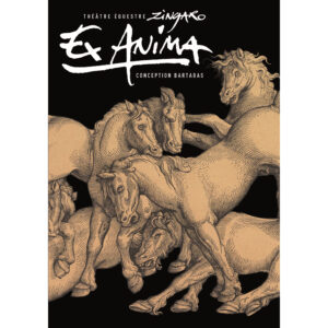 DVD Ex Anima