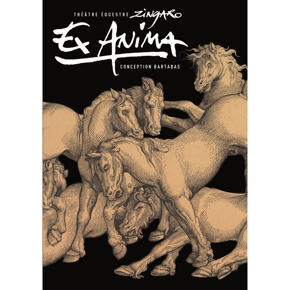 DVD Ex Anima