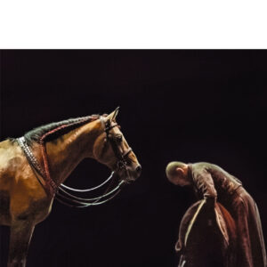 D’un cheval l’autre, collection Folio