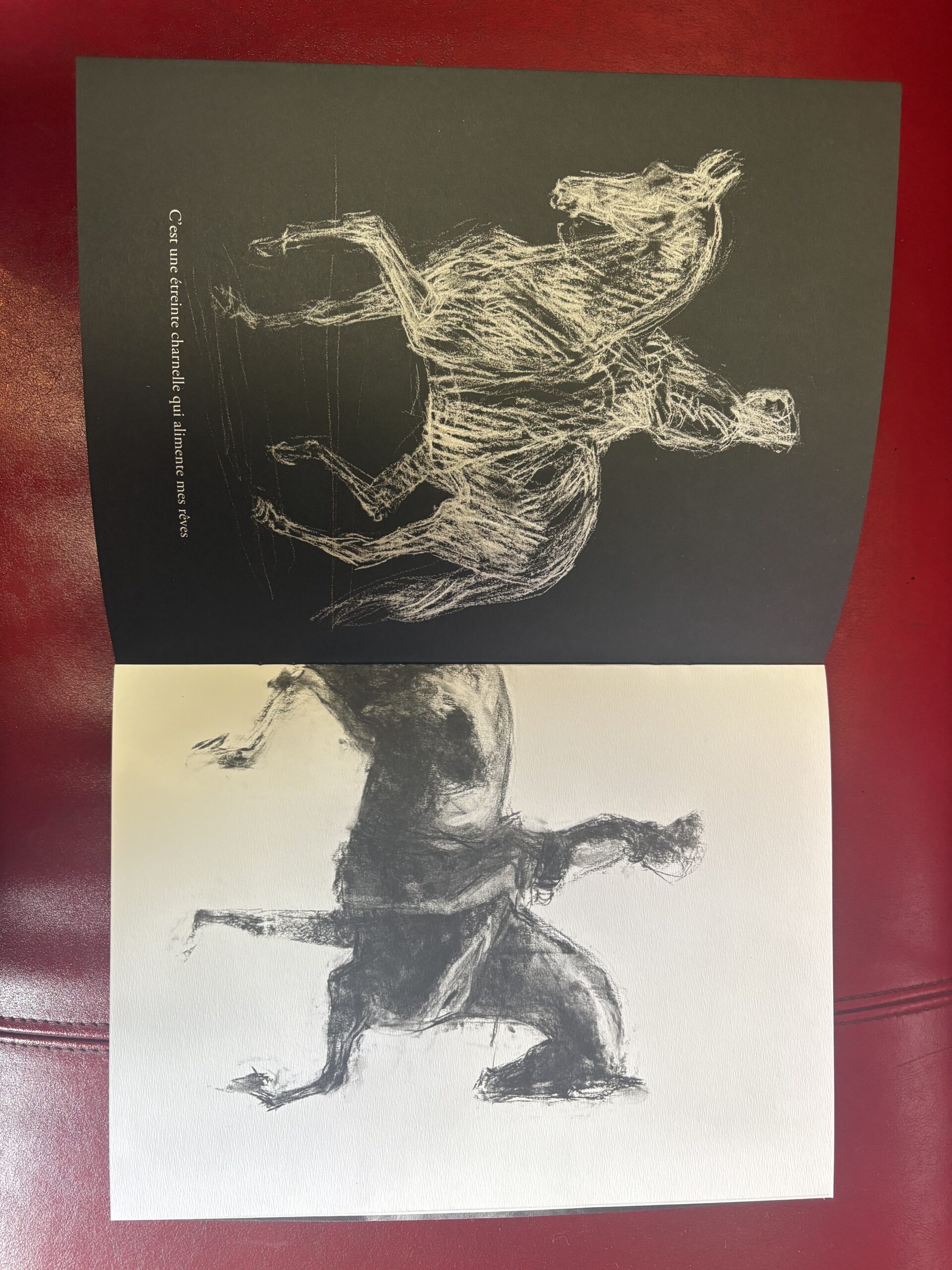 Livre-spectacle « Tombeau pour un cheval d’Orgueil », Canson 170 g. – Image 2
